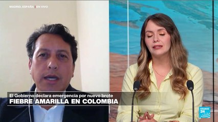 Carlos Álvarez: 'El mosquito que transmite la fiebre amarilla no circula en Bogotá, Colombia'