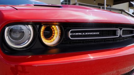 Babs' Car of the Week - Challenger
