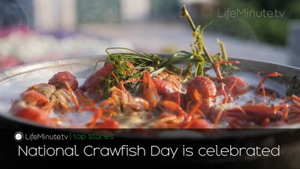 Nate Bargatze to Host the 77th Emmy Awards, Michelle Trachtenberg's Cause of Death Revealed, National Crawfish Day and National High Five Day are Celebrated