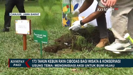 Perayaan 173 Tahun Kebun Raya Cibodas di Cianjur, Lestarikan Tumbuhan hingga Jadi Pusat Penelitian
