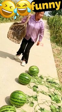 😜🤣😲 कैसे हुआ रास्ते में... #funny #comedy #shorts #funnyshort #comedyshorts funny video comedy videos shorts funny shorts viral shorts funny comedy videos