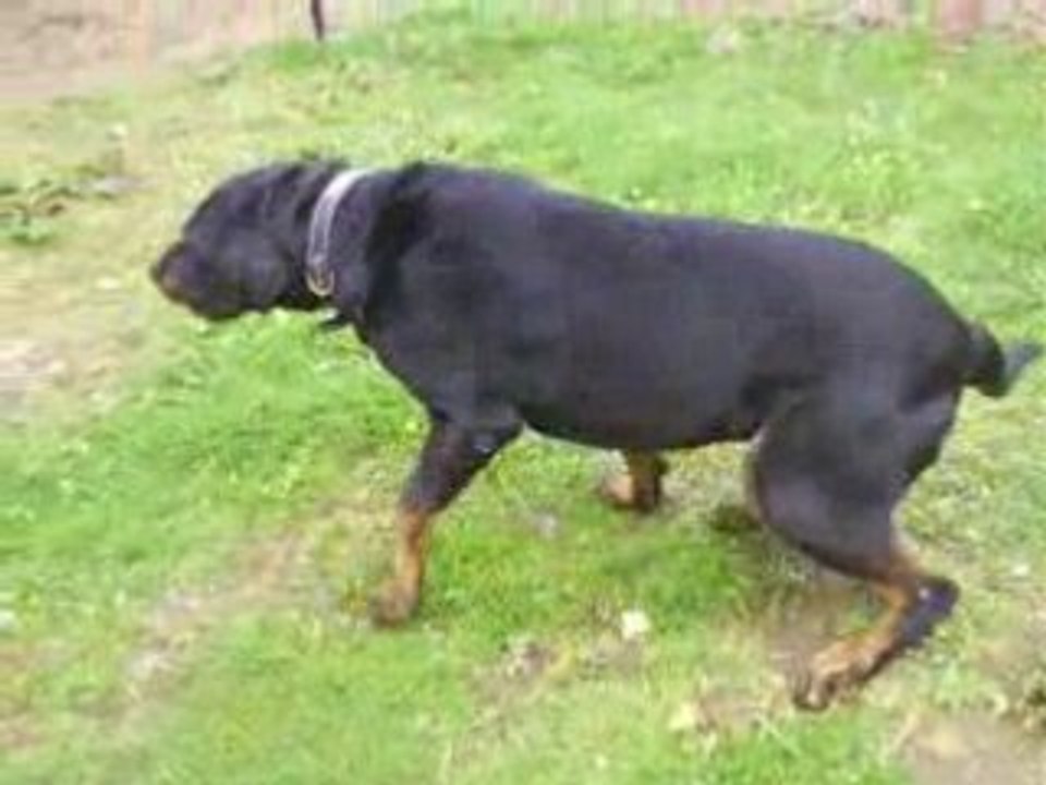 Tito 03