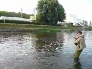 Pêche de l'alose à la mouche en Finistère