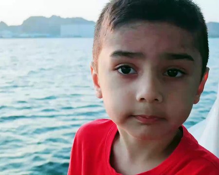 Dolphin watching! 🐬🌊 #Ocean #Wildlife #MarineLife #Nature #Animals