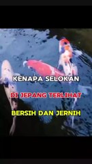 Kenapa Selokan Di Jepang Terlihat Bersih Dan Jernih