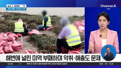 치워도 치워도…제주 해변 쑥대밭 만든 미역