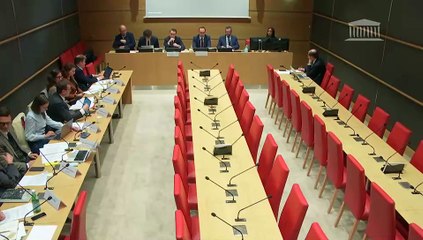 Organisation des élections en France : Représentants des entreprises Google, Meta, TikTok, X et Snap Inc. - Jeudi 17 avril 2025