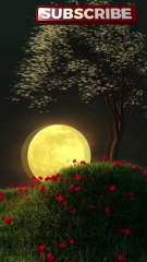 🌕🌌 Full Moon Night – A Magical View Under the Stars ✨🌙