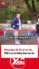 Phùng Ngọc lên Đà Lạt xin việc