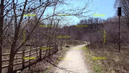 Cottonwoods Loop Trail - Lower Don Valley (natural mountain bike trail)