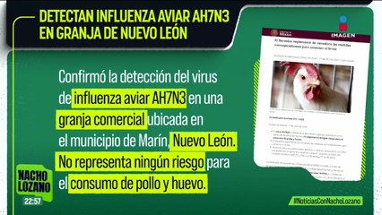 Detectan influenza aviar AH7N3 en una granja de Nuevo León