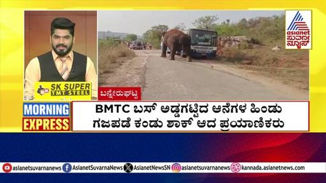 BMTC ಬಸ್‌ ಅಡ್ಡಗಟ್ಟಿದ ಆನೆಗಳ ಹಿಂಡು | Morning Express | Kannada News | Suvarna News