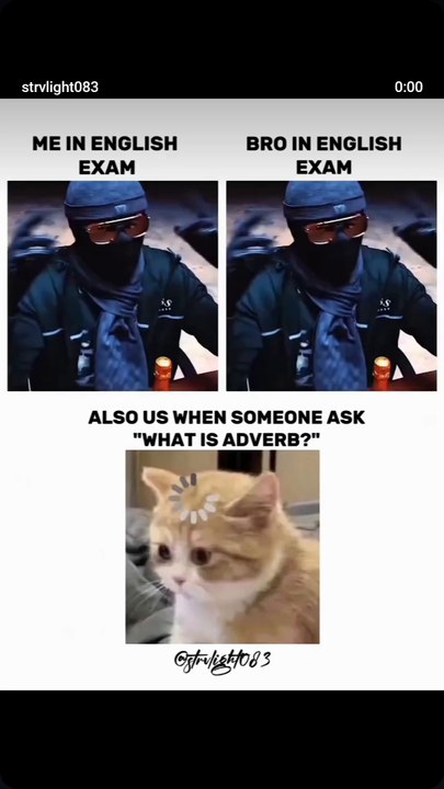 Cat comady