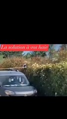 L'idiot du jour : Il a trouvé la solution parfaite pour tailler sa haie