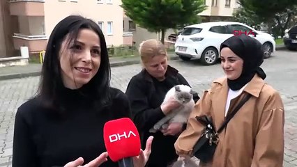 Kayıp kedisi ‘Badem’i bulanı altınla ödüllendirdi