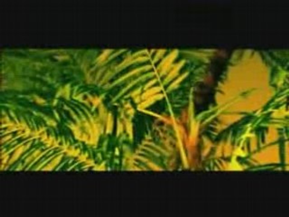 PeeZee Feat JDiggz - 34D'z