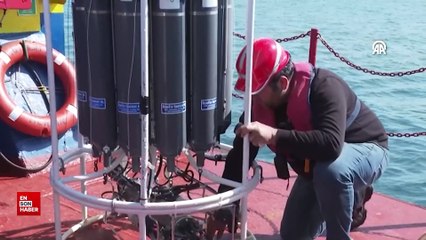 Marmara Denizi'nde müsilajın son durumu yerinde incelendi