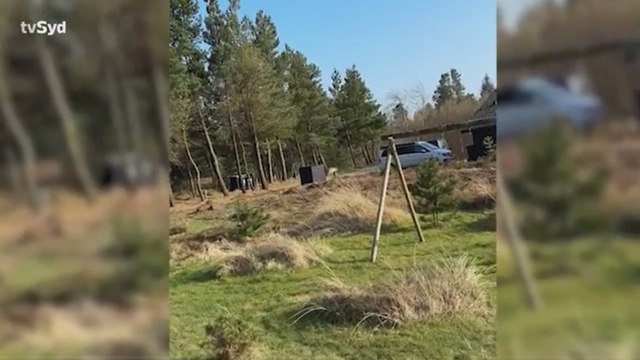 La familia se muda a la casa de verano para Semana Santa y aparece un invitado inesperado: Pasó como si no tuviera miedo