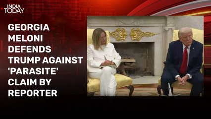 Giorgia Meloni defends Trump against 'parasite' claim by reporter