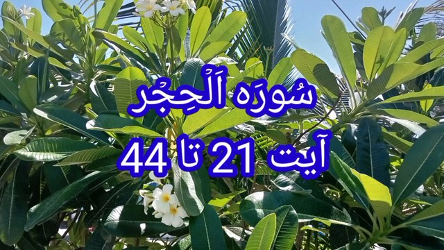 Surah Al hijr | Ayat quran | Quran pak ki Tilawat | Beautiful Quran recitation |