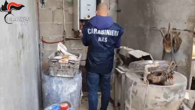 Lavorazione abusiva di carni: sequestrato stabilimento nel Salernitano (18.04.25)