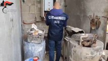 Lavorazione abusiva di carni: sequestrato stabilimento nel Salernitano (18.04.25)