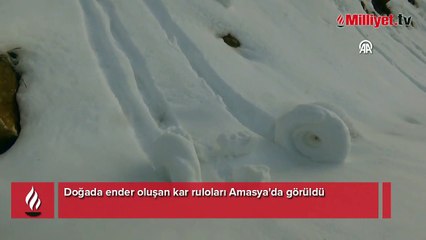 İnsan eli değmemiş bölgede! Amasya'da ikinci kez görüldü, şaşkına çevirdi