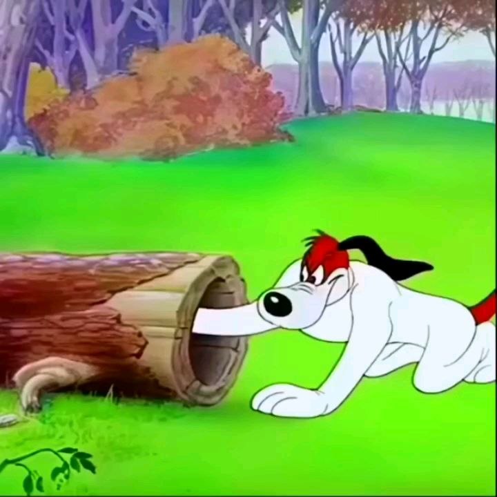 #soulmate #fox #dog #cartoon #2d #funnydog #animation #chase #sn2sg #tricky #sunnight #clever #sunnightmusic #letmechaseyou #sunnightpop #fungame #animal #sunnightblues #catchmeifyoucan #gotcha #playa #game #letmeloveyou #double #running #hideandseek