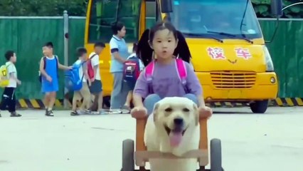 The little girl goes home by car after school, but the car is pulled by a dog