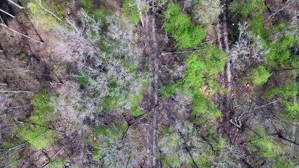 Regen zu zu Ostern – inmitten von Rekordtrockenheit