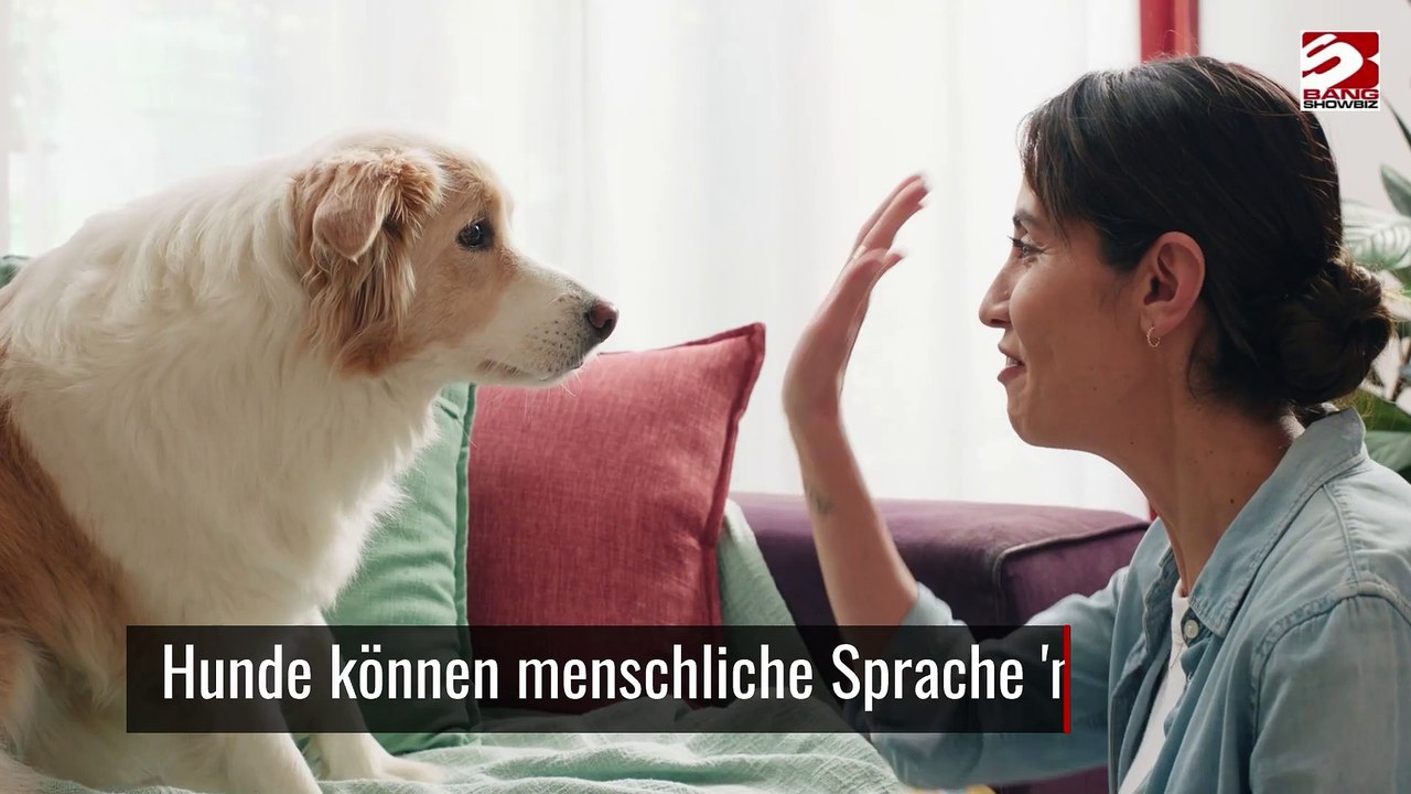 Hunde können menschliche Sprache 'mithören'