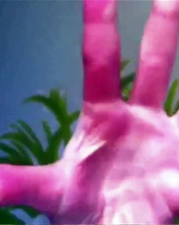 Exposition Time for Women du Max Mara Art Prize for Women