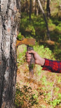 Restoring an Old and Rusty Axe to Its Former Glory!