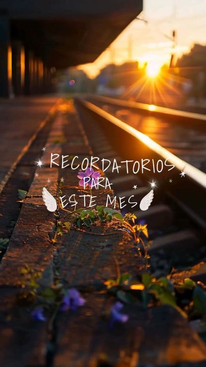 recordatorio #evis