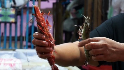 the more kissing the better