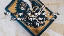 Surah At-Tin / QuranChapterNo95/AllahKaTohfaQuran