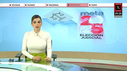 Magistrado propone batear a Loretta Ortiz... impugnó una hora tarde