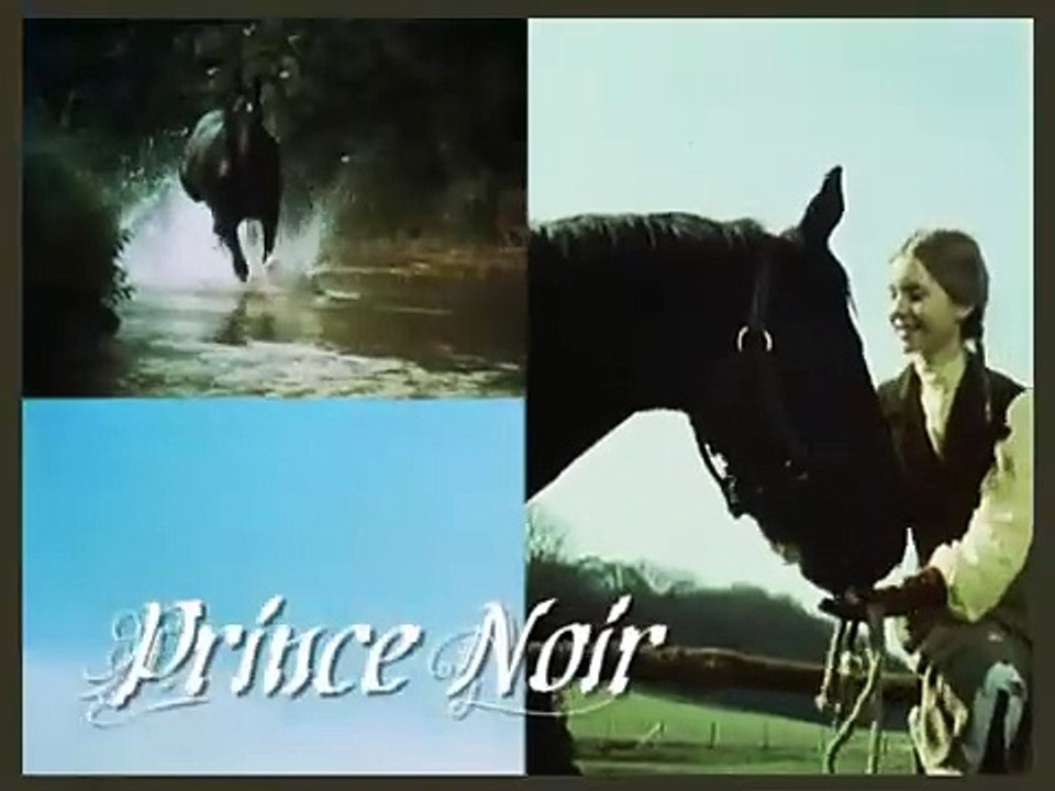 Générique Prince noir