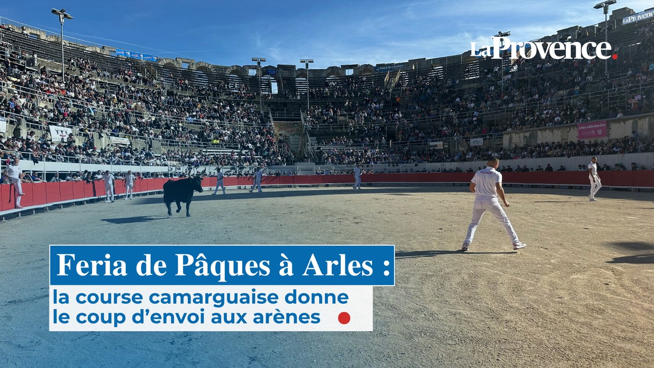 Feria de Pâques à Arles : la course camarguaise donne le coup d’envoi aux arènes