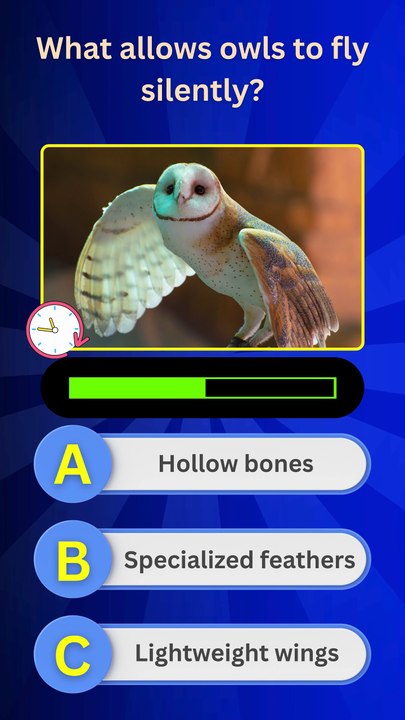 How Smart Are You About Owls? | 4 Quick Quiz Questions You Must Try!