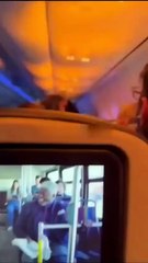 Avião pega fogo e faz pouso de emergência após turbina sugar coelho