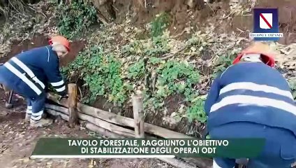 Caputo - AgriWeekRecap - PSR Campania (18.04.25)