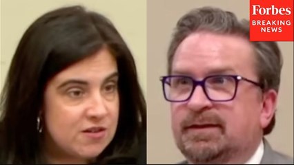 Nicole Malliotakis Asks Witness About Barriers To Implement AI To Combat On Waste, Fraud, And Abuse