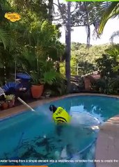 Your Smile Dose Part 16