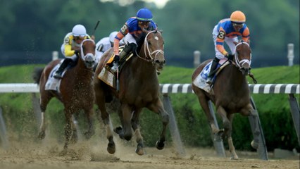 Exciting Horse Racing Preview: $1.25 Million Oaklawn Handicap