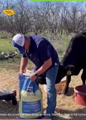 Your Smile Dose Part 18