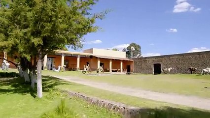 11. Mi Adorable Maldicion