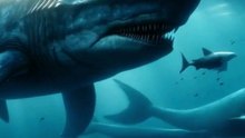 Megalodon: The Monster of the Deep!
