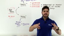 78 Ação Penal Parte I
