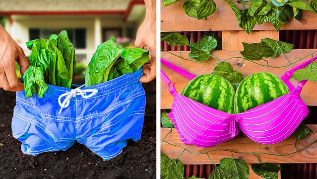 Façons créatives de cultiver des plantes et des fruits exotiques dans votre jardin 🌱🌹🍉🍈